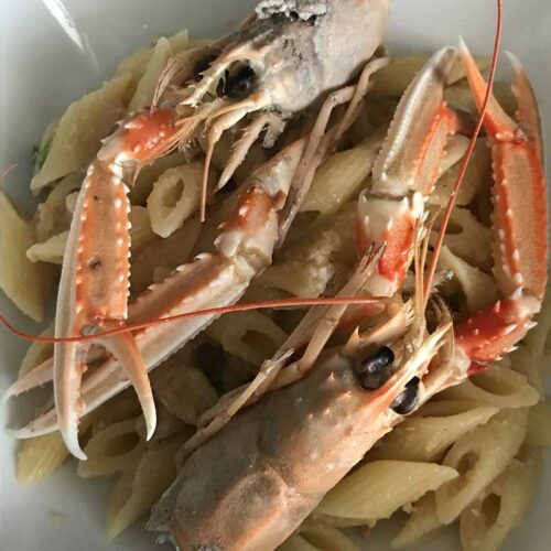 Mezze penne alla crema di scampi e cognac