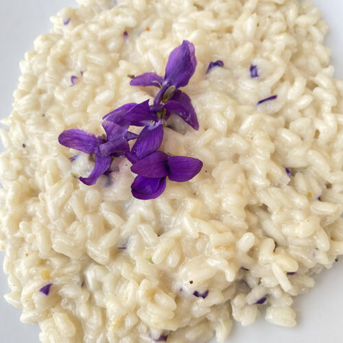 Risotto alle violette