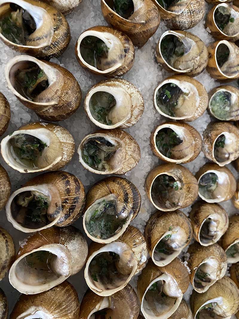 Lumache pronte per il forno