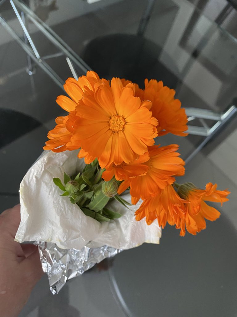 Fiori di calendula